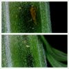 PhotoGrid_1365825926379.jpg