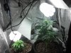 20130412_230216.jpg