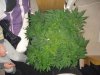 DSC03164.jpg