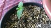 WP_20130413_013.jpg