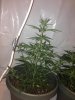 Day 32 S#1.jpg