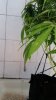 20190723_131853.jpg