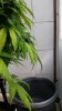 20190726_152254.jpg