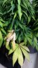 20190726_152237.jpg