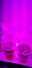 20190725_225450.jpg