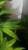 20190723_075730.jpg