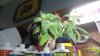 DSC01488.JPG
