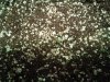 DSCF3107.JPG