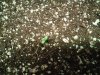 DSCF3108.JPG