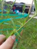 20190811_125508.jpg