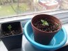 20130410_181502.jpg