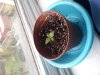 20130410_182335.jpg