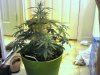 TPhoto_00002.jpg
