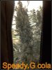 20121112_220238.jpg