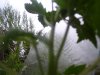100_0391.jpg