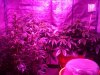 IMG_20130416_002610.jpg