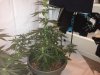 Day 36 S#1.jpg
