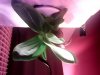 IMG_20130418_105652.jpg