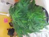 20130418_172738.jpg