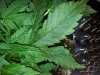20130418_172829.jpg