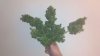 IMG-20130418-WA0004.jpg