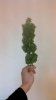 IMG-20130418-WA0003.jpg
