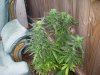 100_0421.jpg