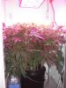 DSC03201.jpg
