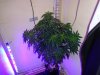 DSC00500.jpg