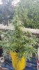 20190813_065551.jpg