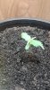20190829_224840.jpg