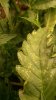 20190830_135018.jpg