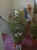 CAM_0276.JPG