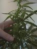 CAM_0278.JPG
