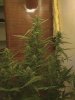 CAM_0282.JPG