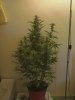 CAM_0283.JPG