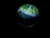 20130420_183830.jpg