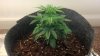 2013-04-21_12-41-07_275.jpg