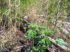 100_0463.jpg