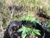 100_0464.jpg