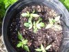 100_0470.jpg