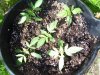 100_0471.jpg