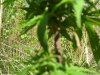 100_0479.jpg
