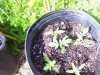 100_0482.jpg