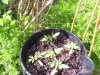 100_0483.jpg