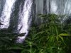 100_0498.jpg