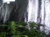 100_0505.jpg