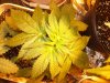 100_0514.jpg