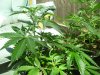 100_0531.jpg