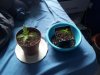 20130420_145130.jpg